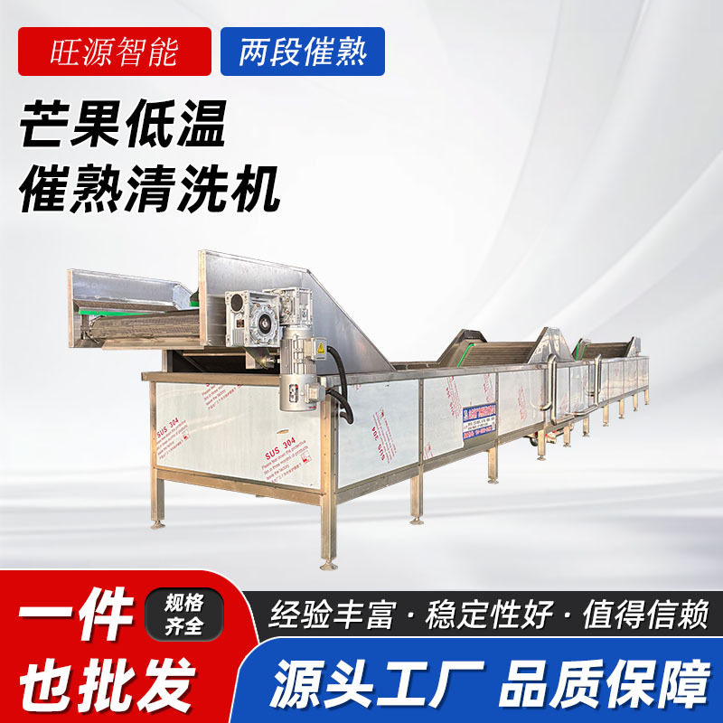 厂家供应芒果低温催熟清洗机自动蔬菜清洗流水线山楂清洗设备