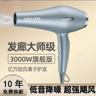 发廊专用吹风机吹头发大风力家用理发店功率负离子护发速干静音