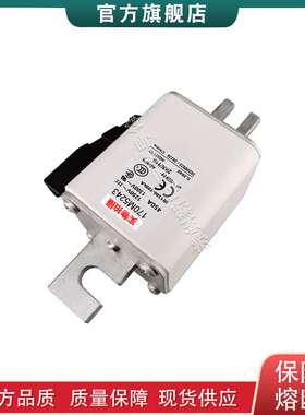 170M5237 5257 5280 5281 5282 5283 5284 5289 巴斯曼快速熔断器