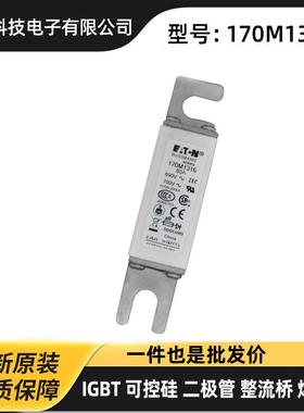 170M6597 170M6598 170M6599原装电压熔断器 保险丝 巴斯曼