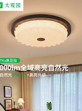 大观园中古风卧室吸顶灯复古花纹宋代美学2025新款书房吸顶灯357L