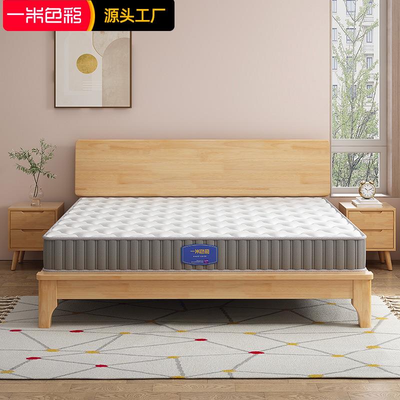 一米色彩加厚床垫软垫榻榻米垫子软硬双面两用弹簧床垫家用卧室