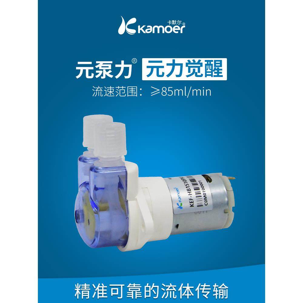 蠕动泵 12v微型抽水泵电动泵头自吸泵定量水泵迷你齿轮小泵