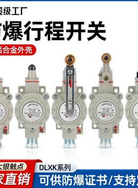 DLXK5-5Z/L/N/T限位开关IICT6防爆开关LX5-15B滚轮式防爆行程开关