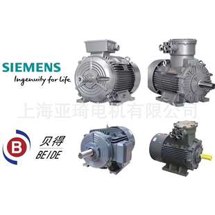 11KW 1TL0003 1DB23 3AA5 B3贝得电机