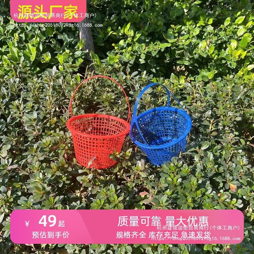 采摘杨梅塑料草莓斤樱桃厂家直销篮子水果篮10手提筐1桑葚垒德株