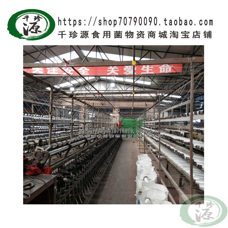 吊袋绳 木耳大棚吊绳 黑木耳吊袋用吊绳 吊袋绳 鱼线绳 食用菌
