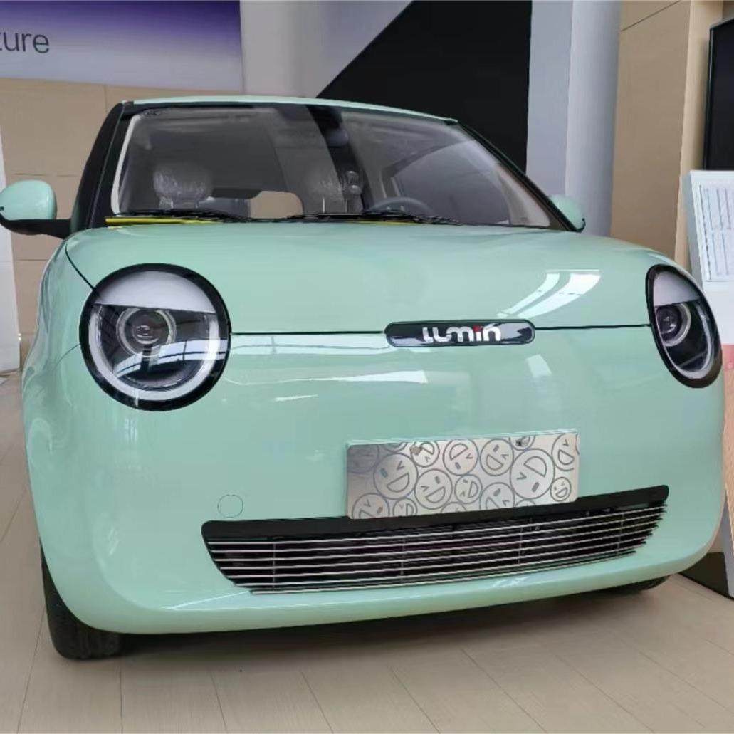 长安糯玉米lumin前脸保险杠中网外观改装配件车外装饰专用防虫网