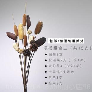 高档客枝厅落地天然玉枝兰干 干燥树干 干燥花花束干支干 干兰树