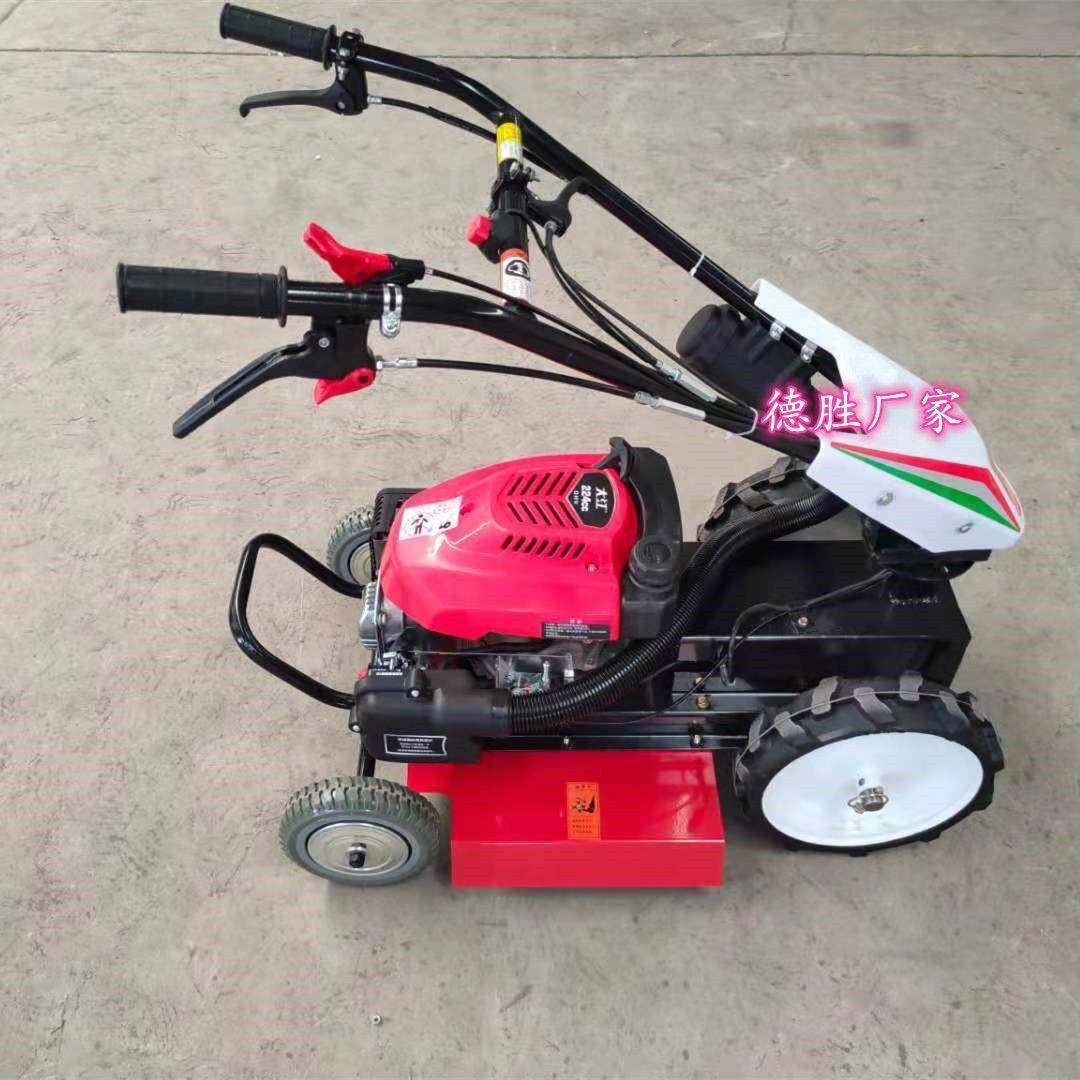 油汽割草机草推割草机自走式除碎NOM草还田机除杂草果园学校手工