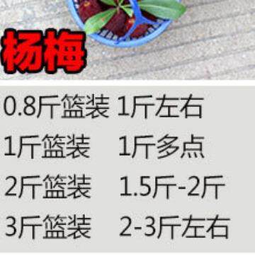 包圆形tb-56147塑料草莓篮水果杨梅邮篮子带手桑采摘筐蓝提莓枇杷