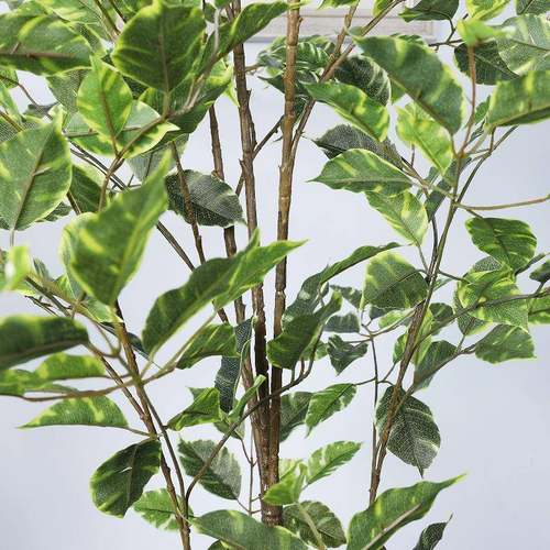 新款仿真布绿植双色仿真榕树室内软盆装婚庆场景置栽IBT道具摆件