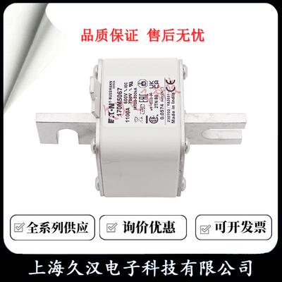 17U0M506/5064/05065/5066GIQ/5067/568BUSMANN熔断器保S险丝FSE