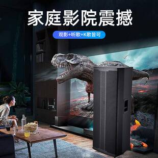 跨境专业音响双15寸婚庆会议主持音箱家用木质箱体大音量舞台音响