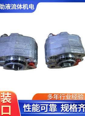 M元arzocchi型齿轮泵EK1PD2G3/8NPGDUT动力单泵风电泵电微动应急