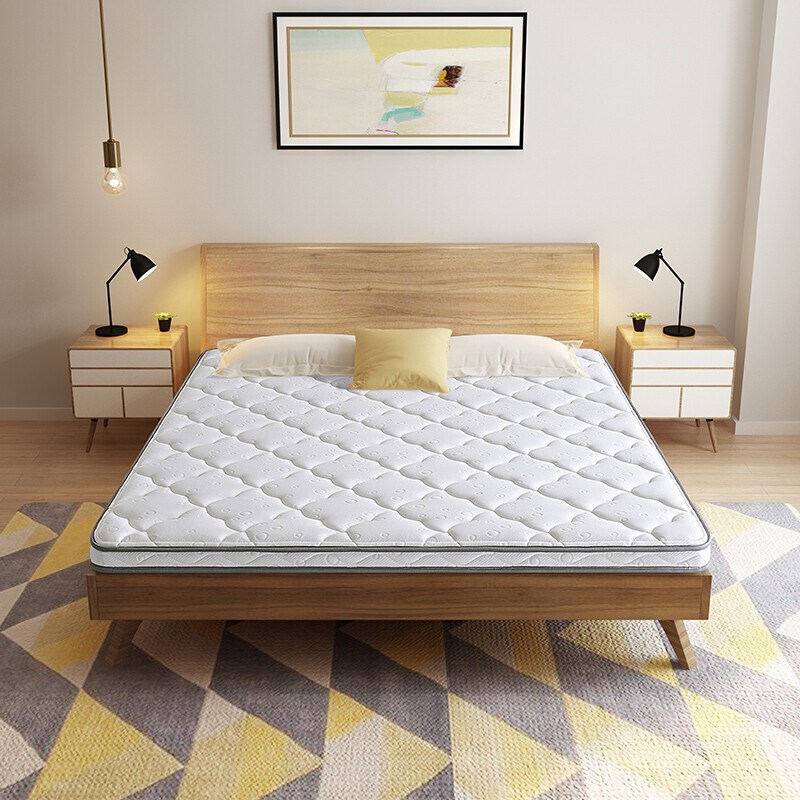 贵祺薄棕垫天然环保3E椰棕床垫护脊家用卧室学生护腰加硬垫子