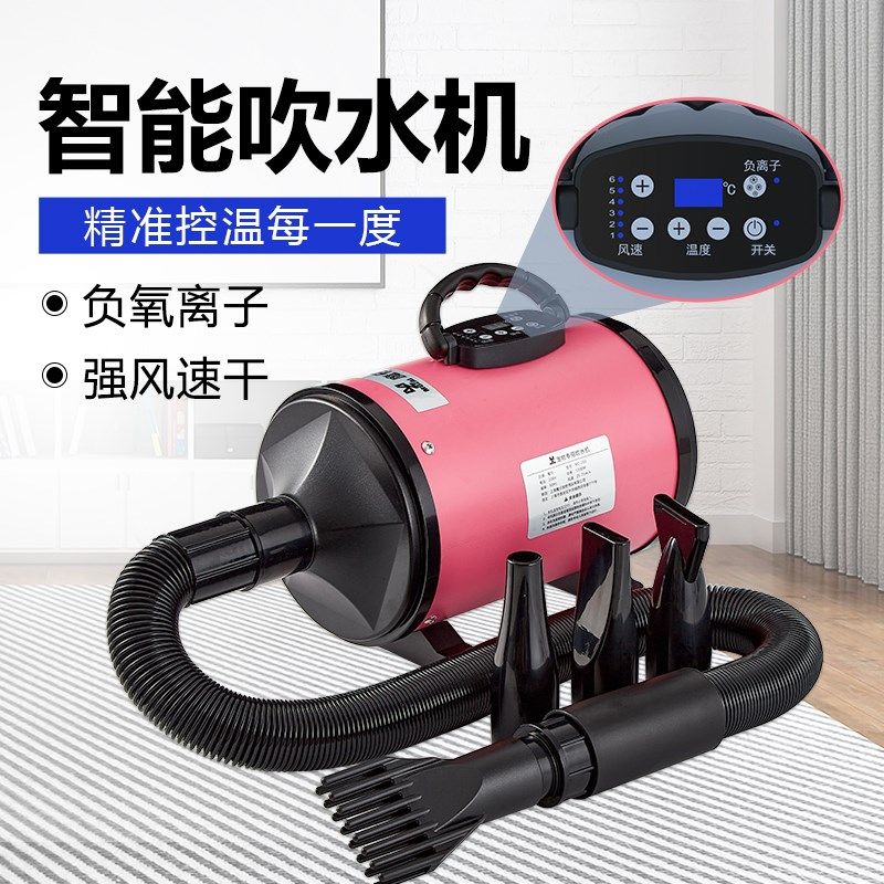 宠物吹水机大型犬狗狗吹风机大功率低噪音泰迪金毛狗狗吹毛烘干箱