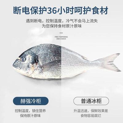 单4755温温卧式柜商用包邮商用冷柜大容量双家用冰冷冻冷藏两用铜