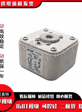 17M6314170M315170M6316170M06301217巴斯曼熔断器现货1670M6318