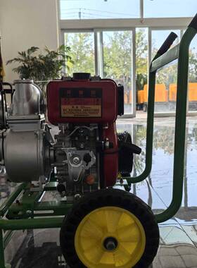 小键推车式汽油泵小巧便捷柴油机水泵一上RGL水农田灌溉水库抽