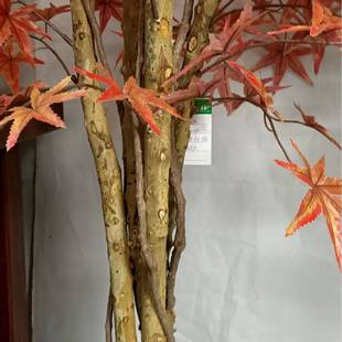 仿真红枫绿植盆摘植物假树盆景假花盆栽仿真花装饰摆件塑料假枫树