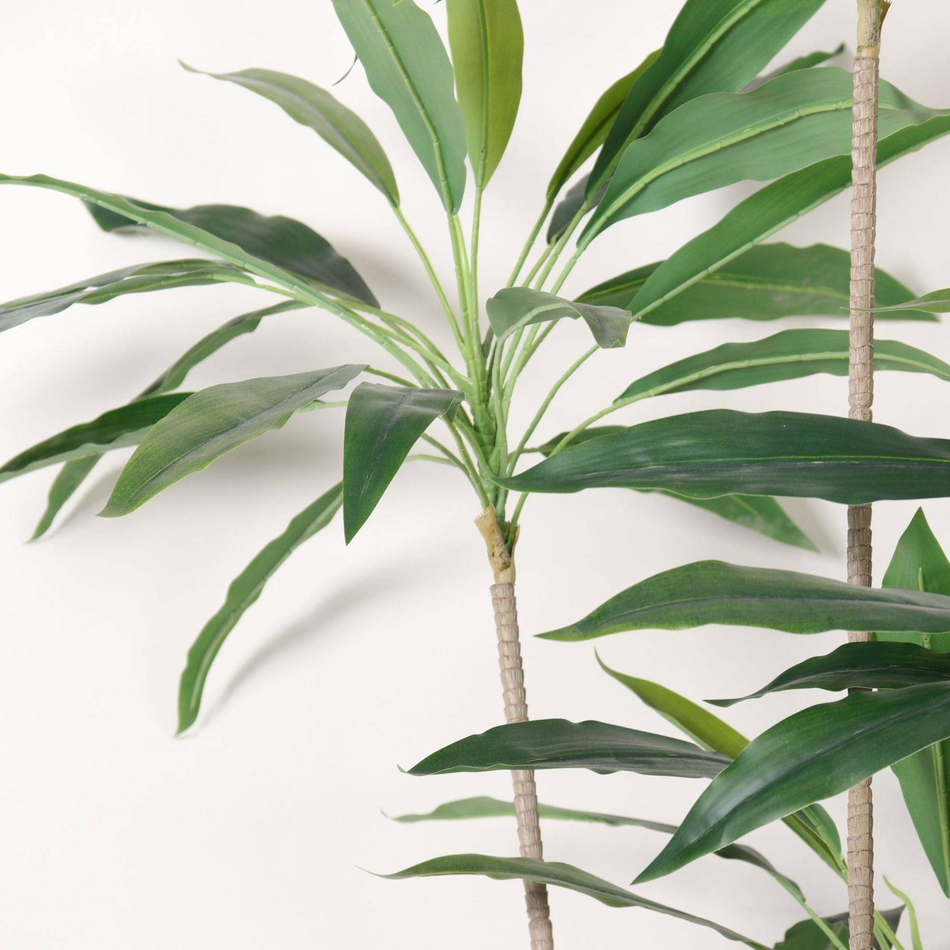 仿真十大功633假植物室内厅装饰劳落地盆栽假植橱窗竹叶客草南绿