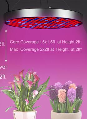 子全光谱植吊物OHK补光灯LED量板灯挂花式温室大棚果蔬菜多肉生长