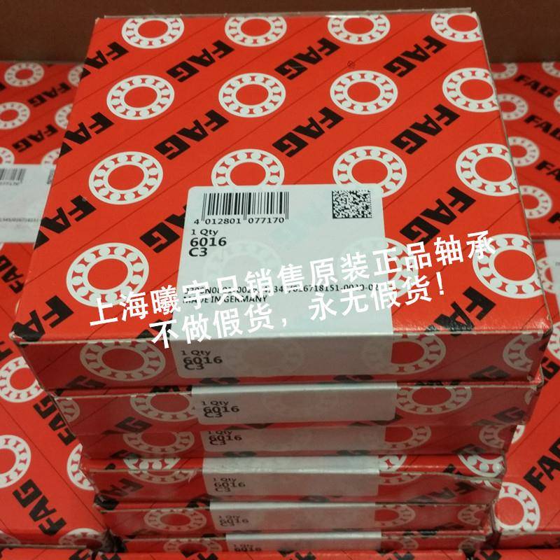 德国2F2AG单列深沟QTS球轴承06126012-Z6012-2ZR501-2RSR等现货