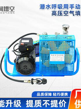 便携式高压潜水呼吸气瓶空压机充填气泵20-30Mpa压缩机