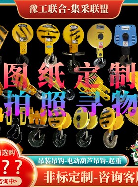 电动葫芦吊钩1T2T3T5T10T16T/200吨钢丝绳吊钩单双梁起重机吊钩组