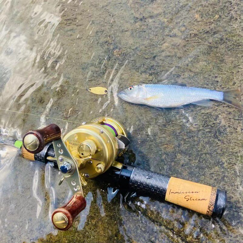 552ULK 22新款枪柄复古 两节 湛道 SIC环 路亚竿 鱼某人 马口白条