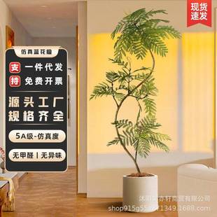 仿真绿植室内盆栽大型仿生植物蓝花楹假树轻奢客厅装饰品落地摆件