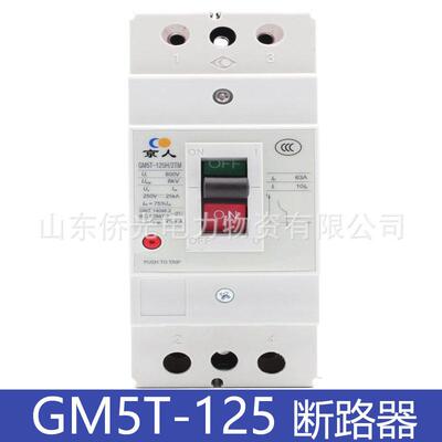北京人民GM5T-125M/2TM 63A100A125A直流断路器 替GM100M-2300R