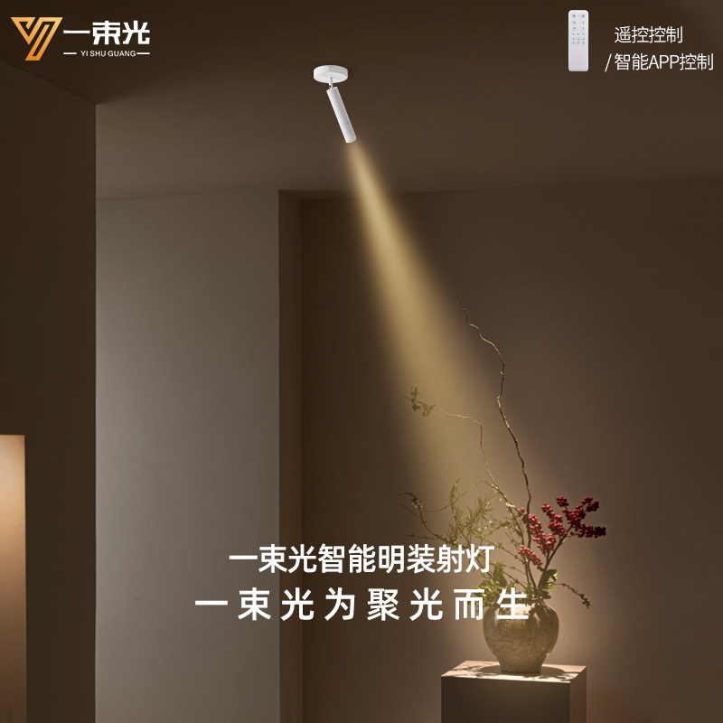一束光聚光射灯小角度智能明装茶台挂画摆件盆栽植物艺术氛围装饰