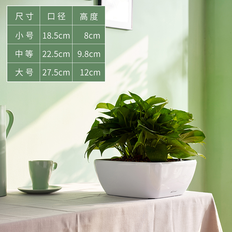 自动吸水懒人花盆绿萝植物桌面办公树脂花盆大口径多肉花盆储水盆