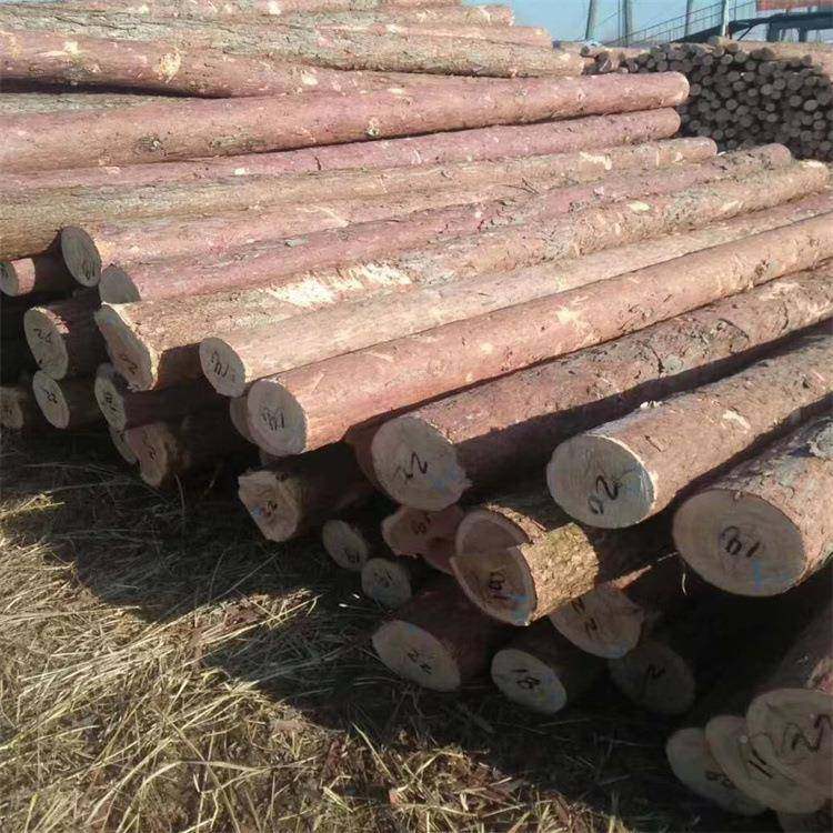 落叶叶桩打木户外河道护坡原桩木实木桩769绿化木支撑杆杉落松木