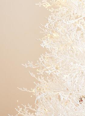 布诞节装饰品白色圣诞树家用摆202圣523SD82件新款圣诞氛围场景置