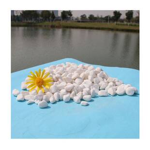 花园黑色白色鹅卵石（山西直采）5-20mm 多肉铺面石 鱼缸底砂造景