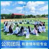 7.3方头立式 四脚插件DIP黄头 轻触开关12 黑色微动按键