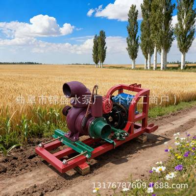 排排涝塘污4寸抽柴油机水IES泵鱼抽水机械密封水机工地洗沙泵