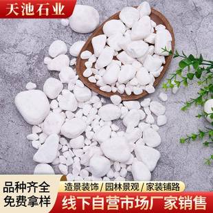 雪花磨白石水石园雪花白林铺路小水洗石庭院鱼缸造景白子色鹅卵石