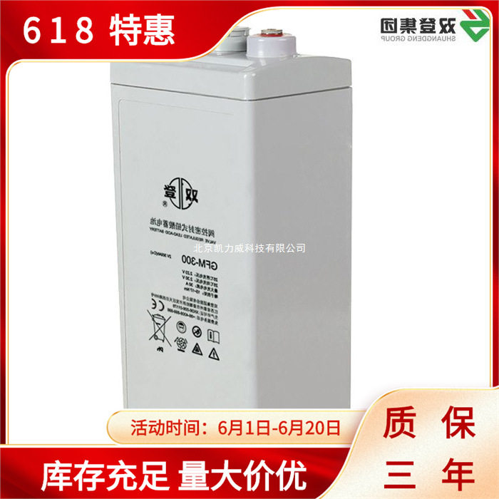 双登蓄电池GFM-300 2V300AH通信 电力 信号系统备用电源