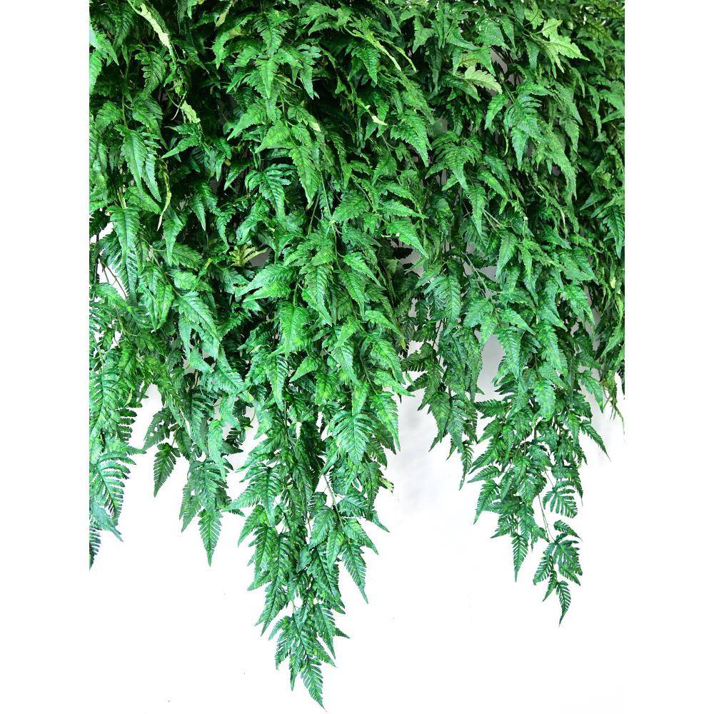 真绿植仿蕨类植物草壁饰挂吊兰假花藤蕨条装塑料藤蔓墙面仿真白毛