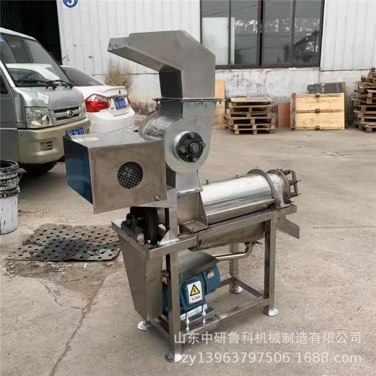 新鲜水果工业汁蓝生莓姜番茄冷榨榨原汁机大型YAP机果蔬挤压榨汁