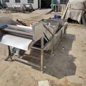 全自动红薯清洗机淋气泡洗冲浪喷洗菜机茎类根蔬9861菜清风干线