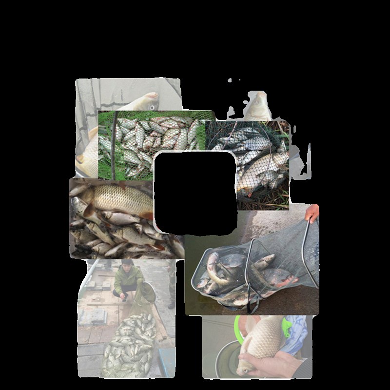 南北方块饵砖仔手竿抛竿方块饼饵土鲮打窝料鲤鱼鲫鱼窝料鲢鳙窝饵