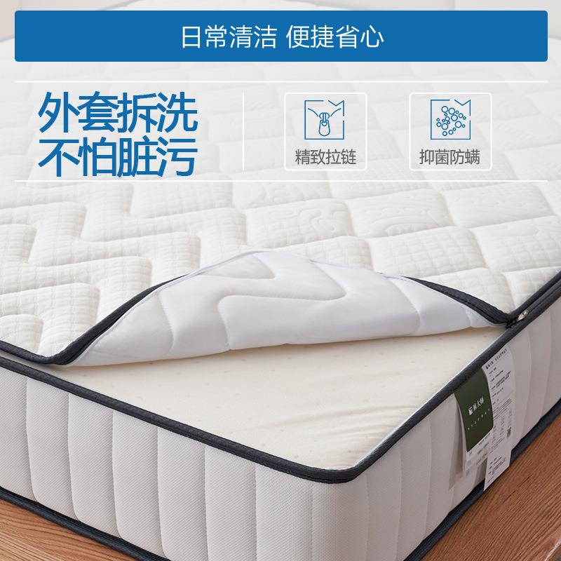 人蓝造思智黄麻脊家用席梦PDQ护思床垫乳胶双弹簧床家用双人硬垫
