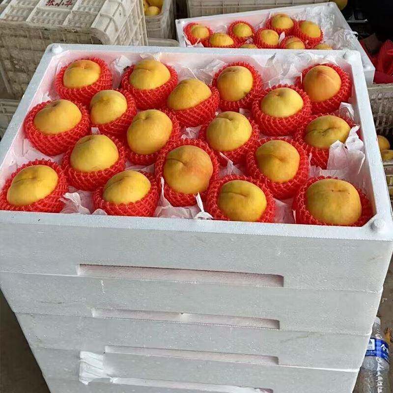 萄枇杷10252221泡沫托盘莓箱黄桃泡桃沫箱葡托盘泡沫水蜜芒果水果
