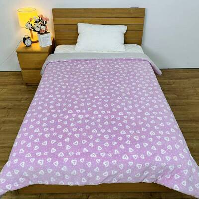 冬季CRR新款吸湿发热被一面豆印花一面豆绒盖被