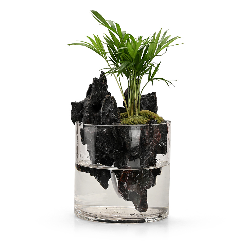 玄山桌面苔藓微景观造景植物生态瓶绿植盆栽玻璃室内盆景创意摆件